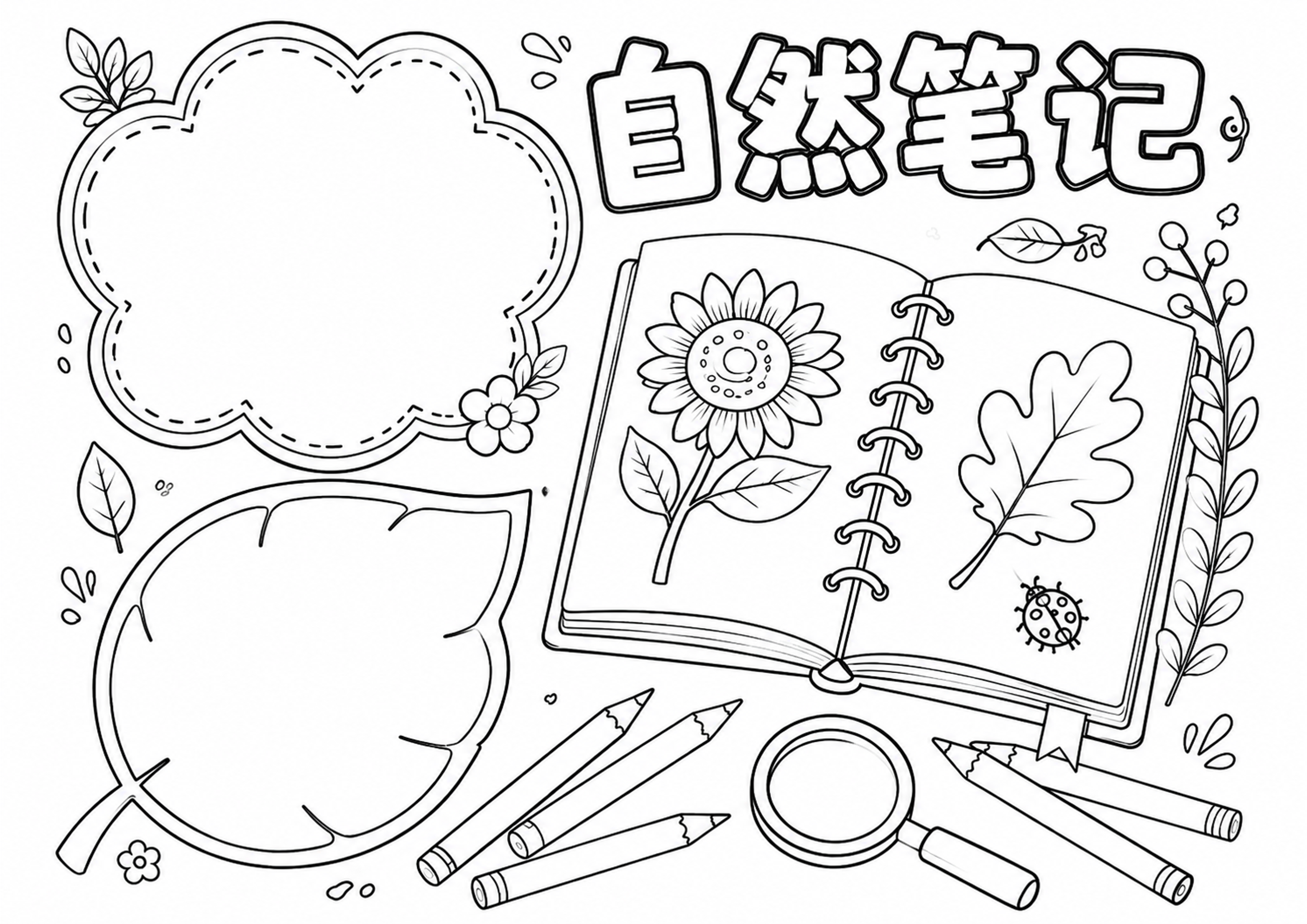 自然笔记手抄报手抄报深线稿